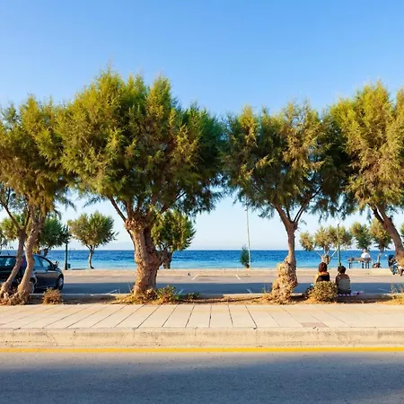 Jaune * Ialysos (Rhodes)