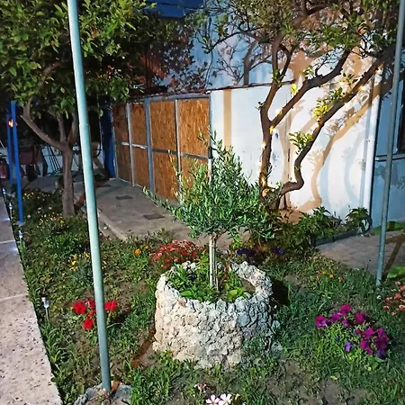 Jaune * Ialysos (Rhodes)