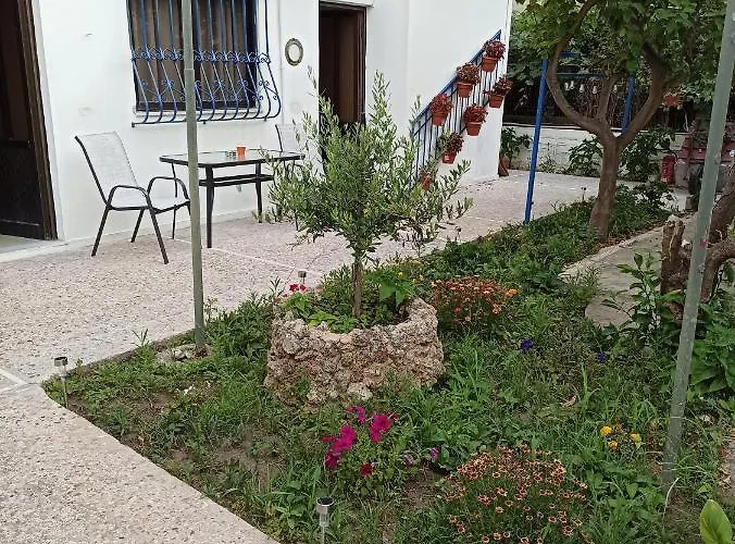 Jaune Apartament